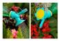 Preview: 2 in 1 Bewässerungsbrause Sonnenblume