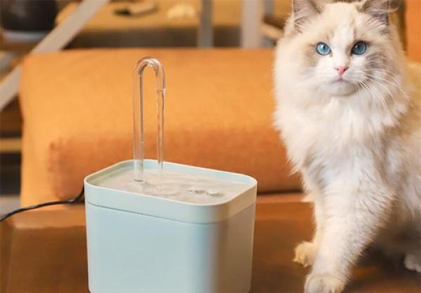 Automatischer Wasserspender