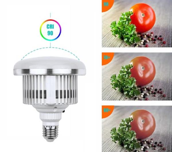 Fotografie-Glühbirnen LED Lampe mit Fernbedienung