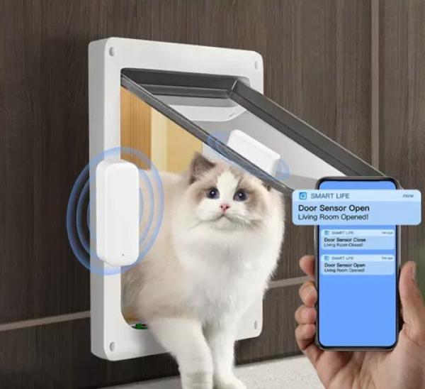WiFi Tür- & Fenstersensor